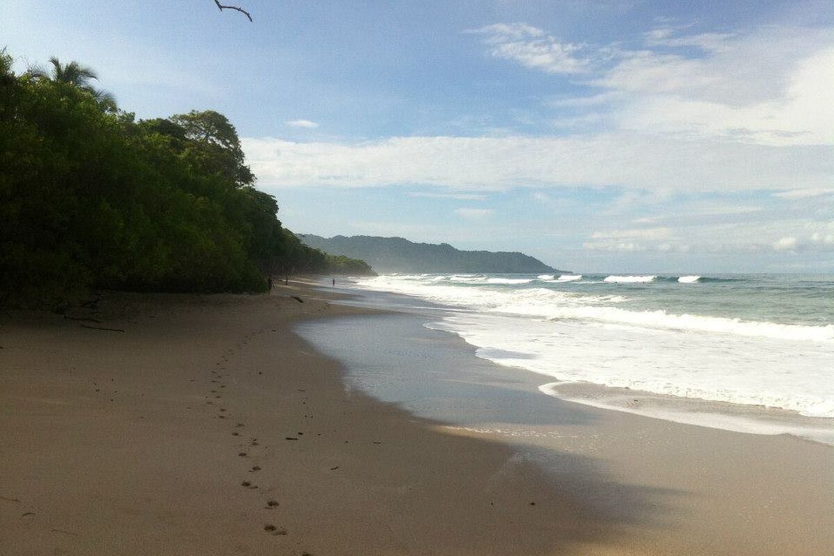 Discover the Beauty of Costa Rica: A Tropical Paradise